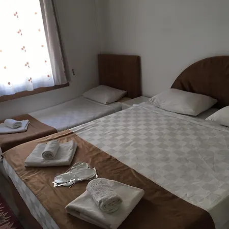 Sakiz Ev Alacati